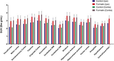 Mapping of Brain Activity in the Analgesia Induced by Phα1β and Morphine